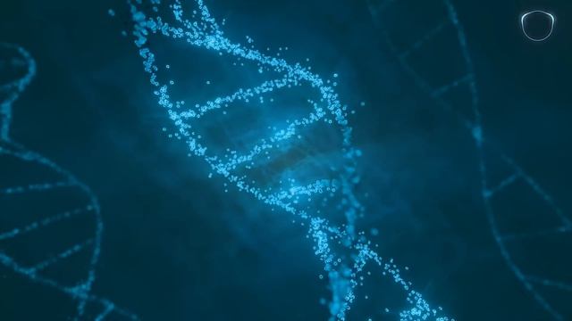 Space Jungle | Drum and Bass vol46