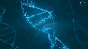 Space Jungle | Drum and Bass vol46