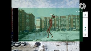 гибрид фонориголового, и сиреноголового у меня во дворе