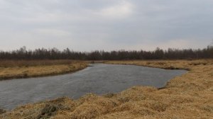 Кадры дня 25 марта 2026 / Ижора. Межстоличье.