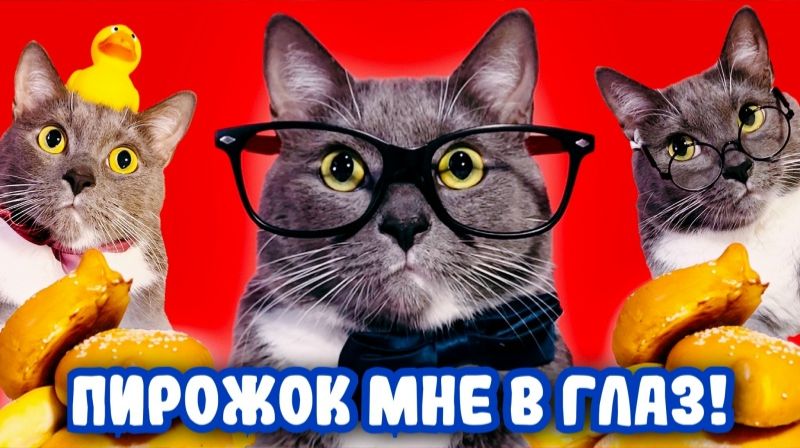 Kotiynet — 3 сезон, 29 серия. | 12+