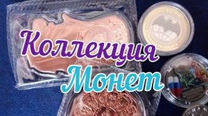 36. Коллекция монет.