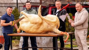 ШЕСТЬ БЛЮД из СТРАУСА.