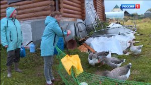 На агротуризм в Коми в этом году направят 3,5 млн рублей