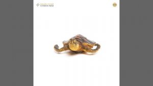 Чучело головастой морской черепахи (Океания)