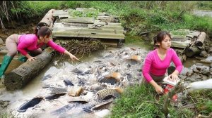 Молодая женщина использует насос для осушения пруда, что бы наловить рыбы. Жизнь во Вьетнаме