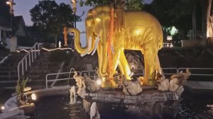 ТАЙЛАНД. ПАТТАЙЯ. "МИНИ СИАМ"  ВЕЧЕРНИЙ