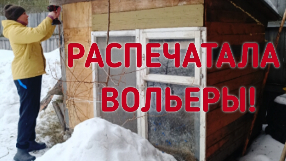 Сняла с вольеров зимнее утепление! Резкая смена погоды!