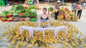 Продаю много утят, вылупившихся 7 дней назад. Используем грузовик для перевозки утят.