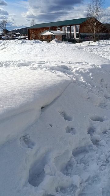Первая лужа. Весна. Зима. Первые ручьи. Солнце светит по-весеннему.