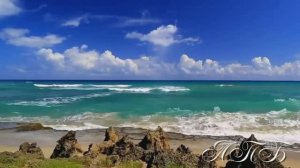 Ах , море , море , синий край