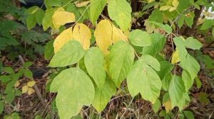 #красивая природа