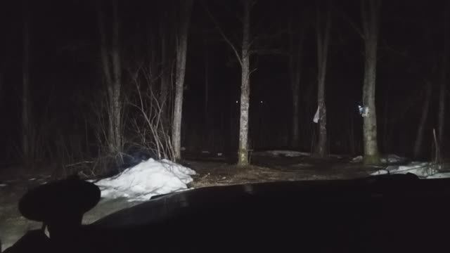 Подводная охота, весна 2026.Судак, карась,сазан.