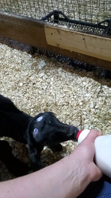 Из бутылки пить непросто-2