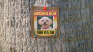 Nastya is helping her little friend find a super nanny