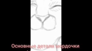 Рисунок львёнка.