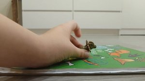 все виды динозавров 1 сезон 2 серия 🦖🦕