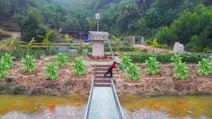 Создание грядок из красного кирпича для выращивания растений на открытом воздухе. Серия 67.Ли Фук Ви