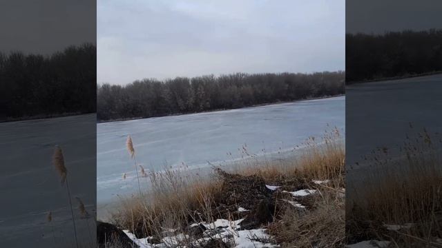 КРАСАВИЦА РЕКА