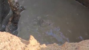 Поиск воды в пустыне.