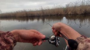 Тарань мормышинг весной!
