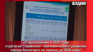 Депутаты горсовета приняли отчет о выполнении Стратегии в 2025 году