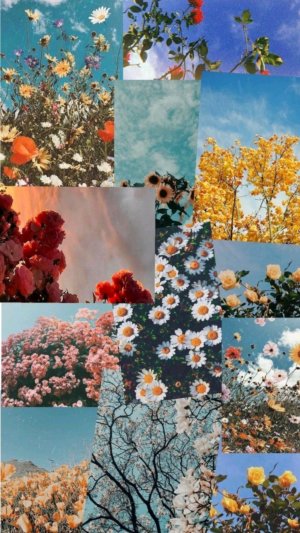 делаю скрабы