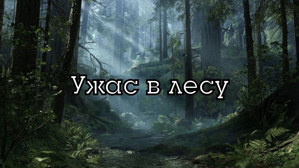 Мрачный и ужасный лес | Музыка и атмосфера в стиле фэнтези D&D