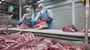 Цвет, упругость, запах: гид по выбору свежей свинины от экспертов «Сибагро»