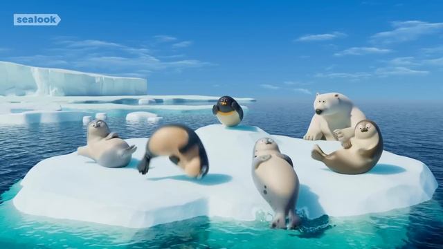 Морские Котики: Видео, которое приносит максимальное удовлетворение #080 😌 Эпизод 102