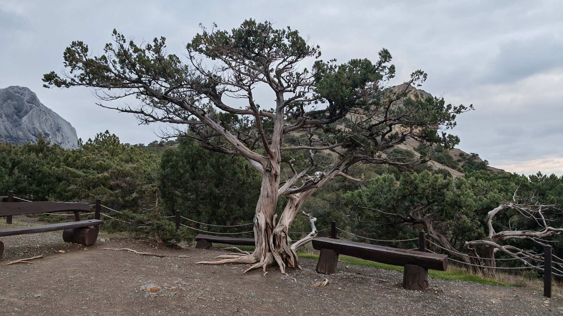 День 5й, 2 января, часть 2