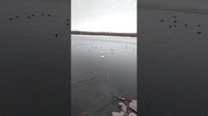 Берег Надежды!-пос.Молодежный-Бийск!