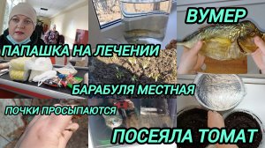 ПАПАШКА НА ЛЕЧЕНИИ. ЗАЕХАЛИ В СВЕТОФОР. ОГОРОД И ДВОР ПОСЛЕ ЗИМЫ. ПОСЕЯЛА ПОМИДОР