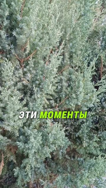 #ловимдзен #момент #наполнение  #отдых #природа