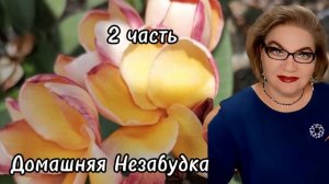 2 часть. Отец  - бедняк за бутылку ремонтировал, а  богатая куча за деньги отца❗️