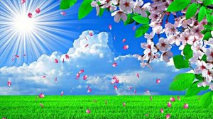 Весна! Полёт цветочных лепестков 1! Киностудия Мудрого Кота Тимофея!