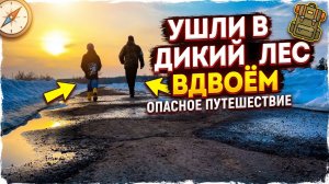 Прогулка с братом по дикой природе | Тишина, лес 🌲