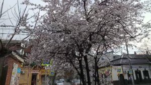 ПП-еда  для Михалыча. Зарядили инкубатор. Хочу в Сочи...