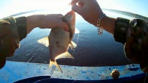 ЛОВЛЯ ЛЕЩА С ЛОДКИ. верхняя Волга