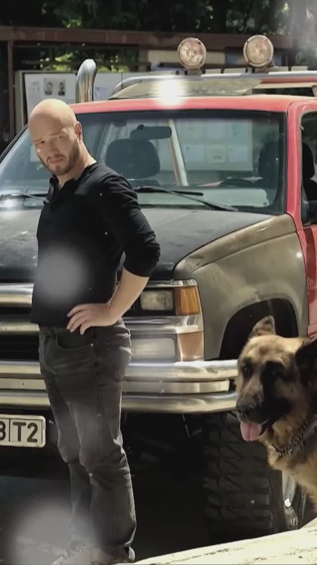 Друзья Пёс 2