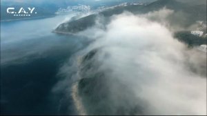 LIVE: C.A.Y. Records Digital Record Label