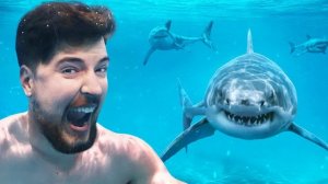 Поплавали бы с акулами за 100.000$ . Мистер Бист.