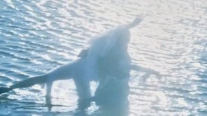 Дуэт на воде. Е.Максимова, В.Васильев. (Фуэте)