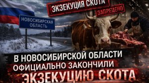 Медицинские борта в Польше: обещанный ответ за Брянск? #новости #россия #украина