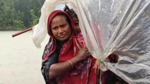 Жизнь на воде.