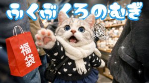 【Офисный котик Муги】Репортаж из жизни Муги, который хочет впервые в жизни купить фукубукуро 🐱🛍️