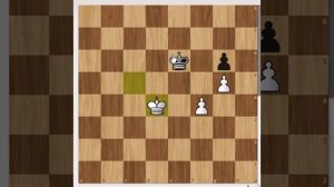 Кан грамотно выиграть с 2 пешками против 1 пешки_ легко можно ошибиться и сделать ничью