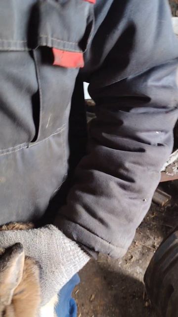 #деревня #село #ферма #фермер #кролик