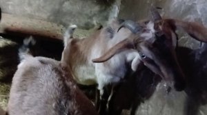 Весна пришла, весне дорогу