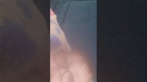 чикен ган стрим